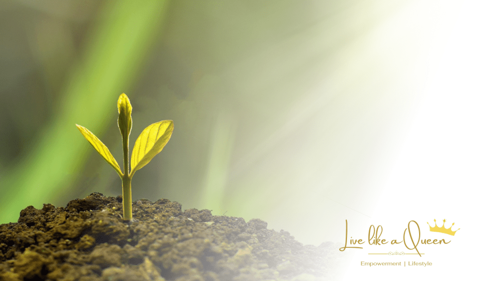 You Were Born to&nbsp;Grow