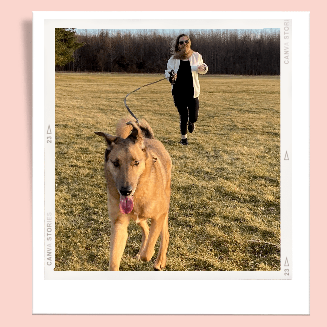 8 Ways to Work Out With Your&nbsp;Dog